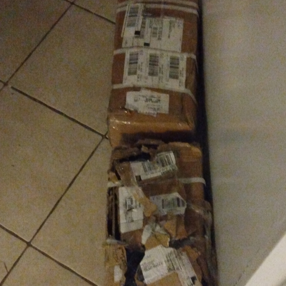 50 lb dumbbells $200
